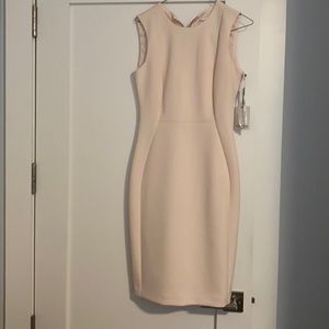 Light Pink, sleevless, Calvin Klein Dress.